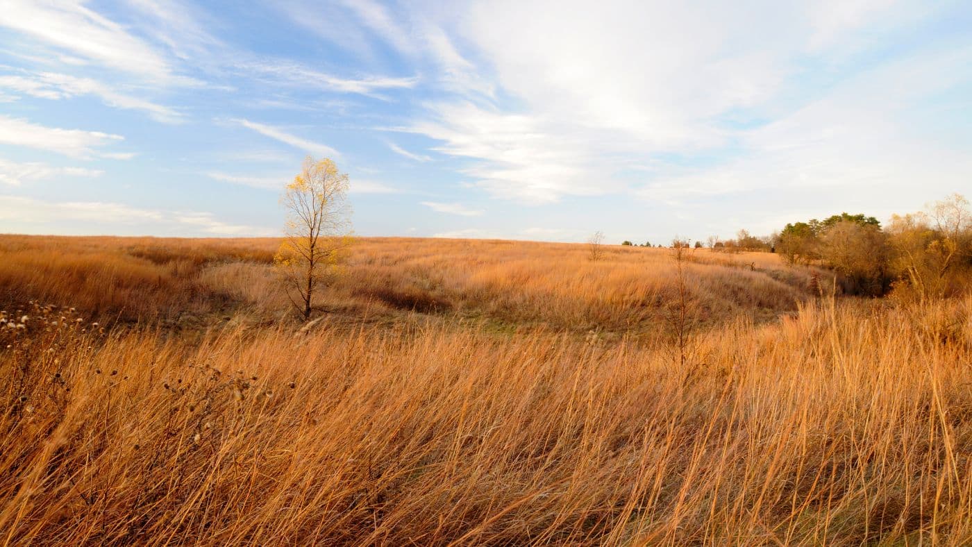 Nebraska