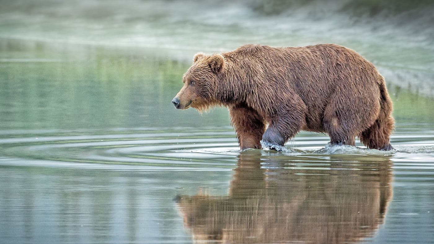 Alaska