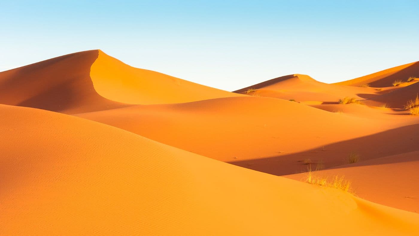 Sahara Desert