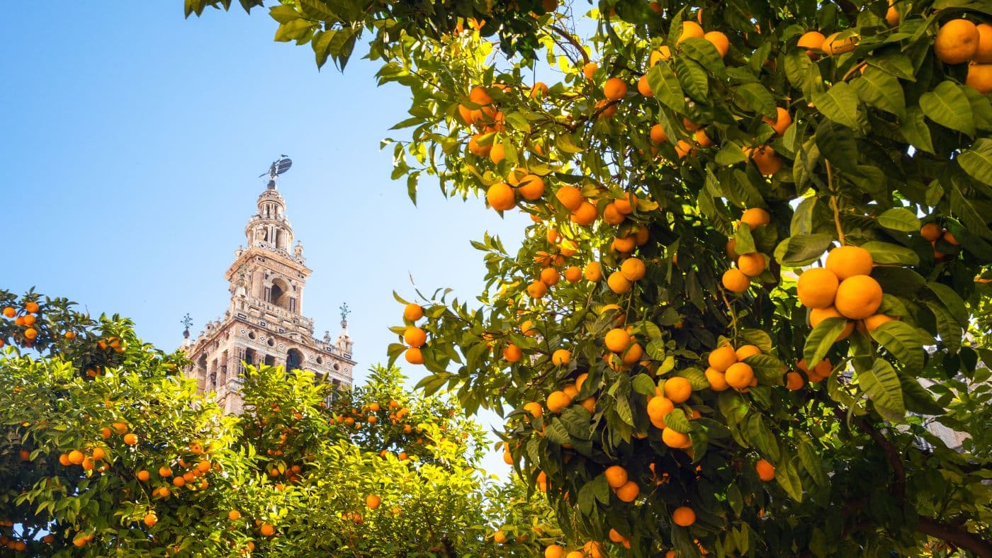Andalusia