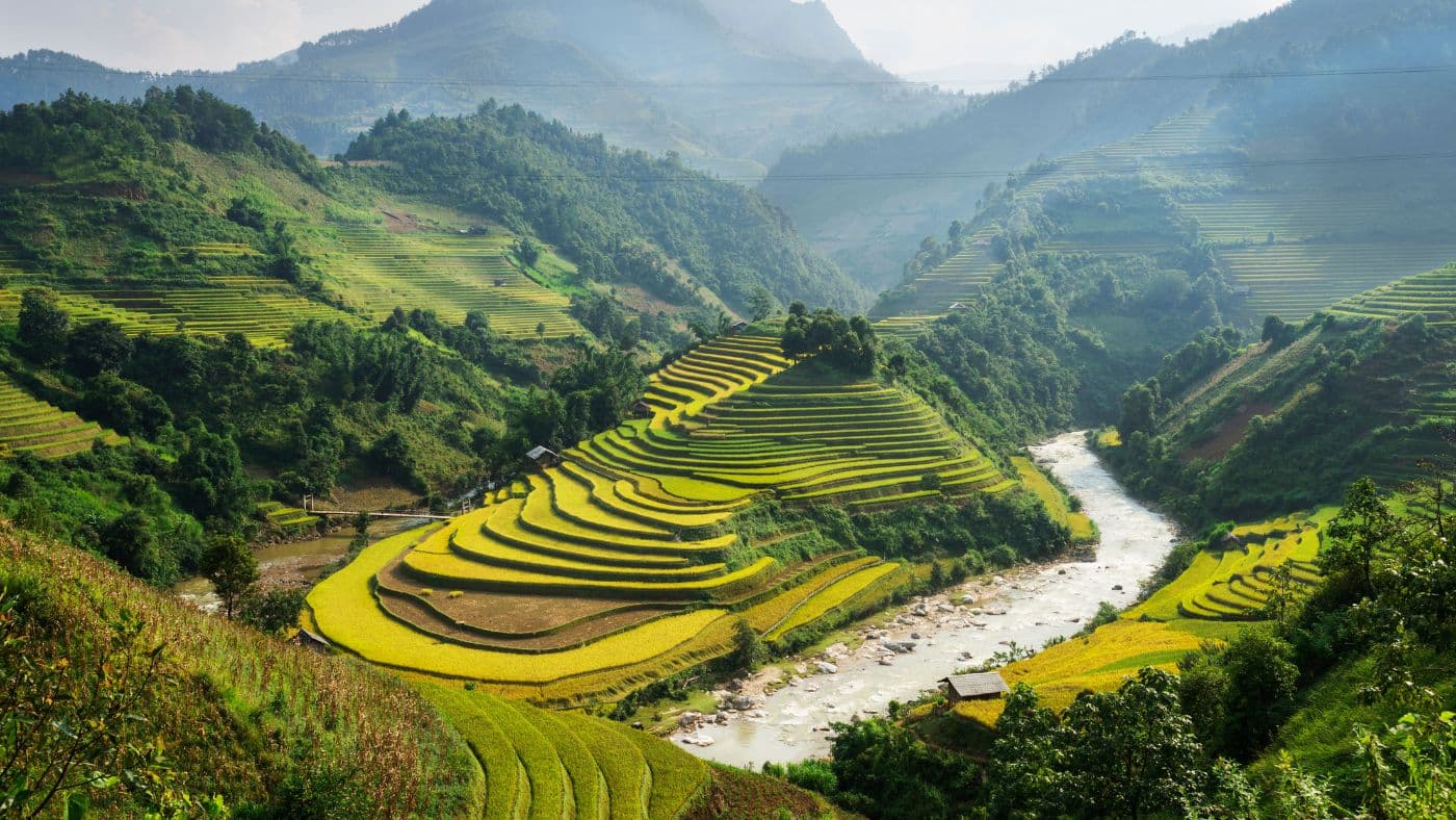 Vietnam