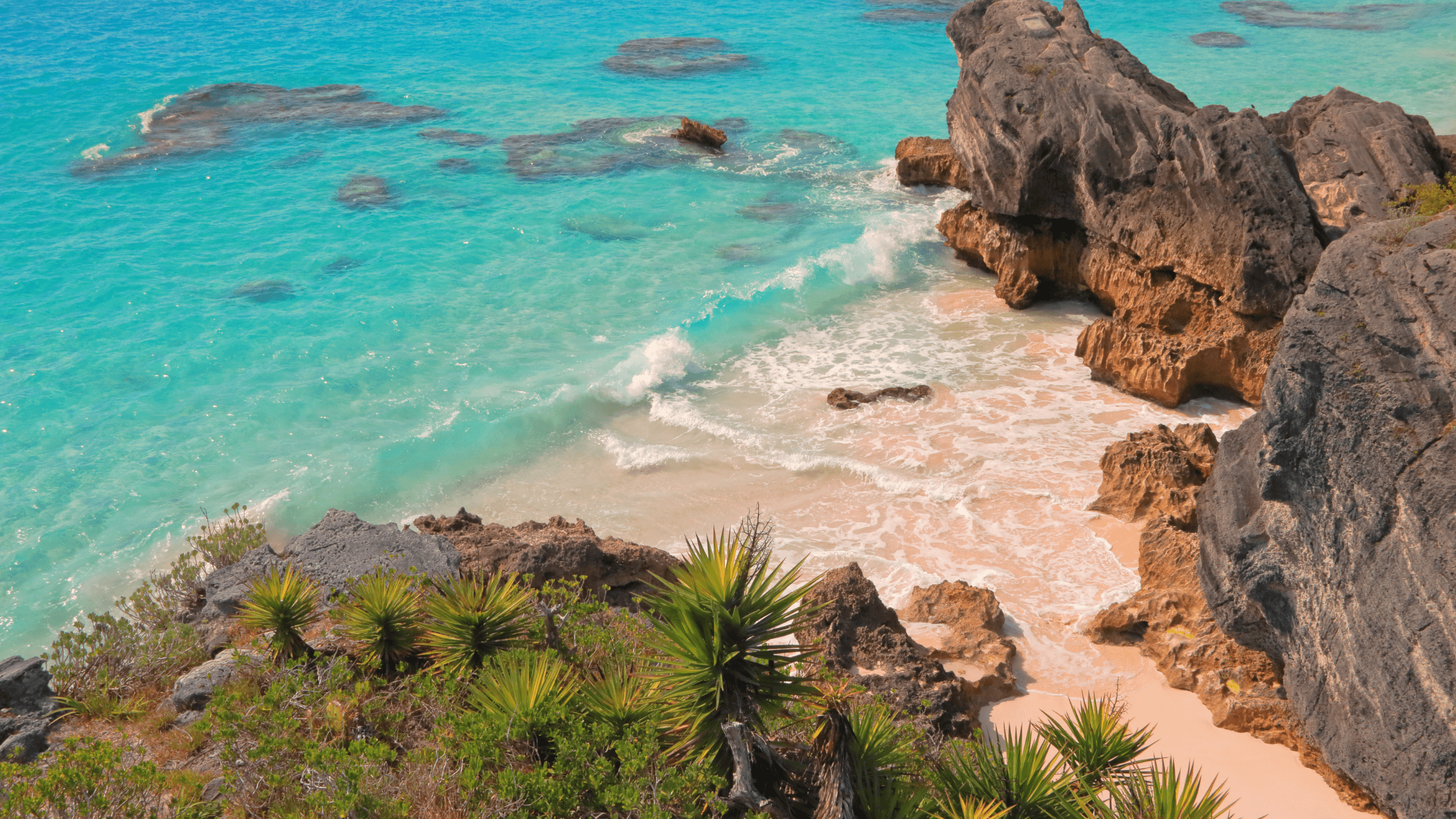Bermuda Scenic Cove