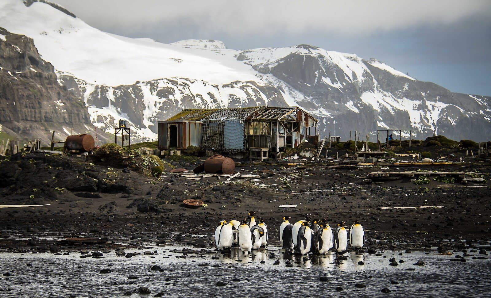 Heard Island and McDonald Islands