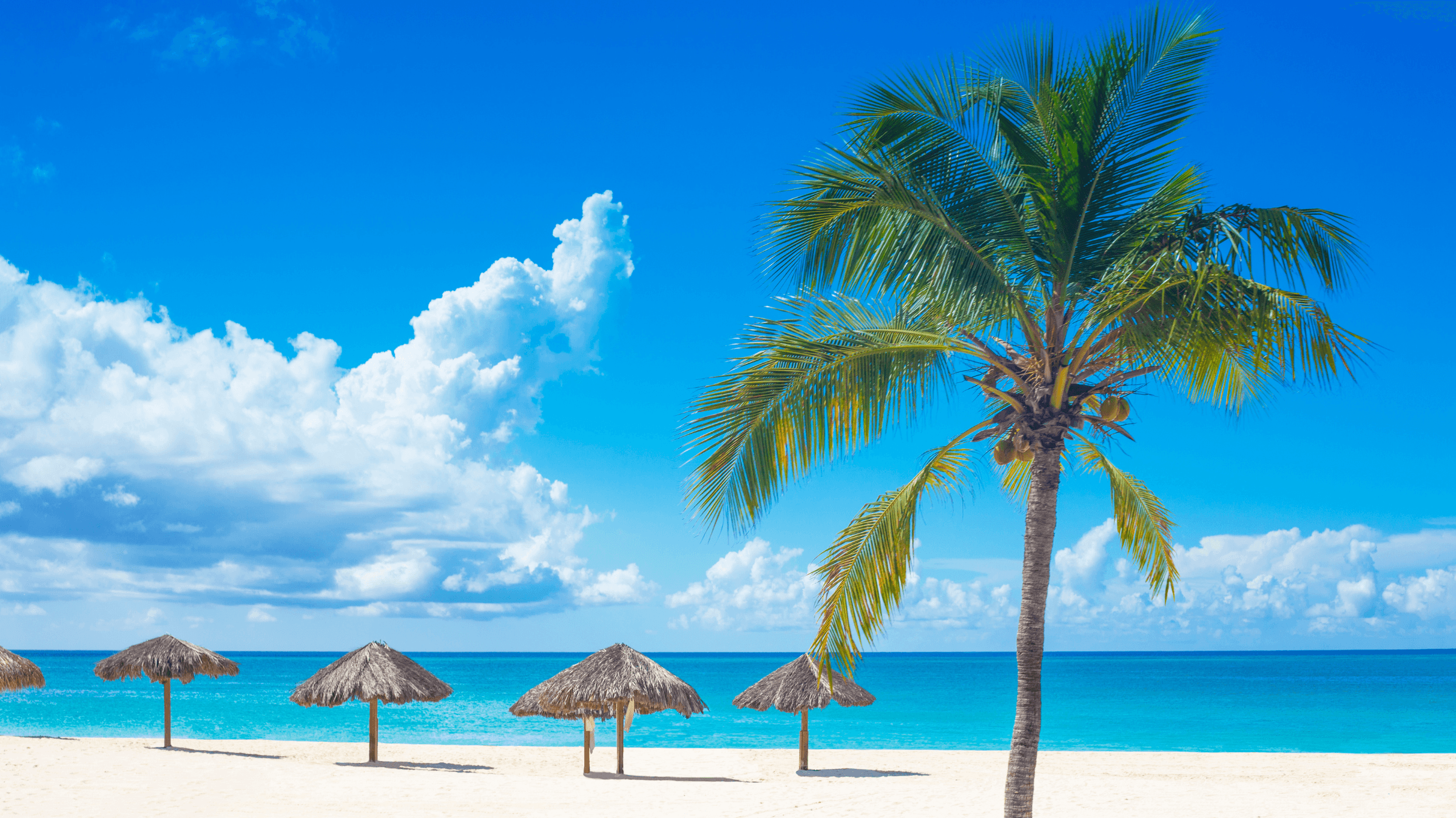 White sand beach in Curaçao