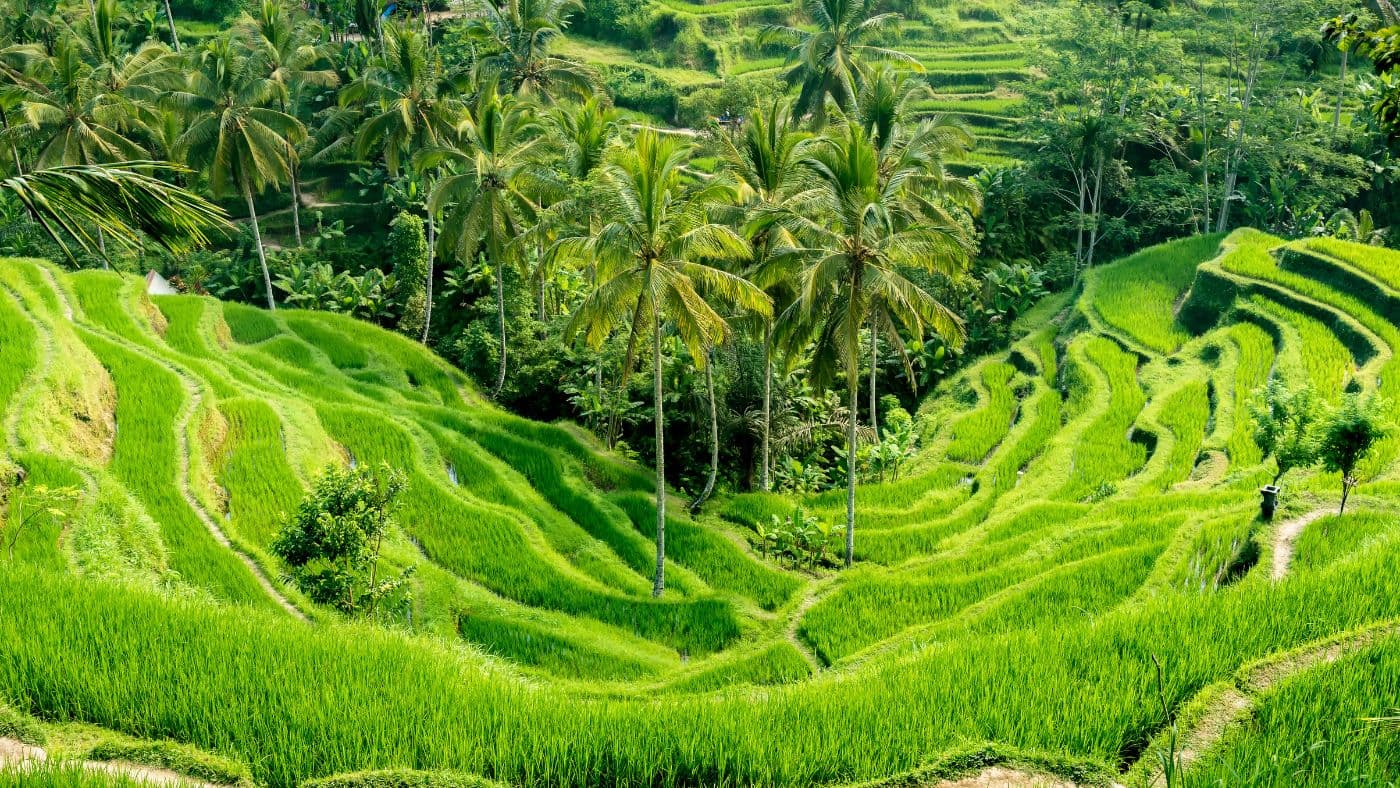 Indonesia